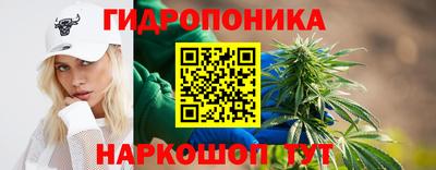 наркотики Кингисепп