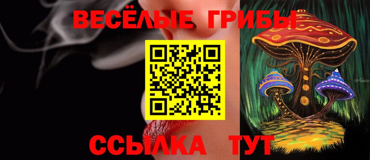 Галлюциногенные грибы мухоморы Тулун