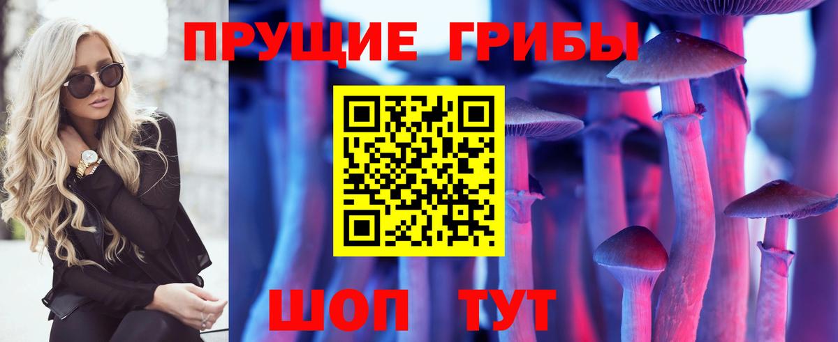 Тулун  Псилоцибиновые грибы мицелий  Псилоцибиновые грибы MAGIC MUSHROOMS  Вход с VPN 