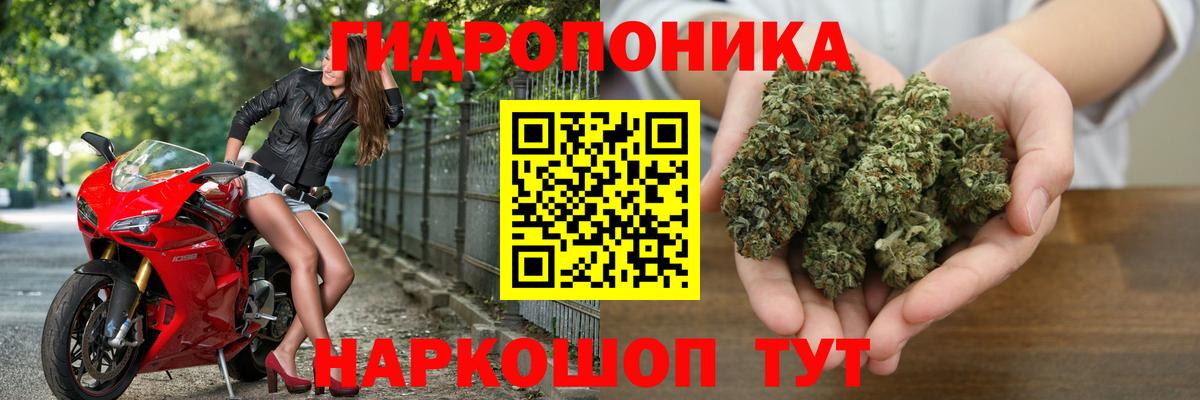 Бошки Шишки AK-47  Каннабис сатива  Вход с VPN  Тулун 